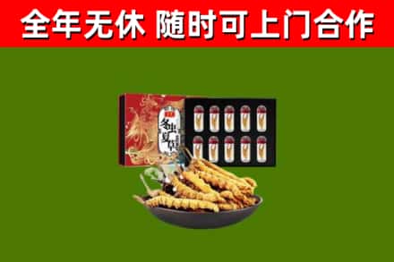 溧水区回收冬虫夏草价格