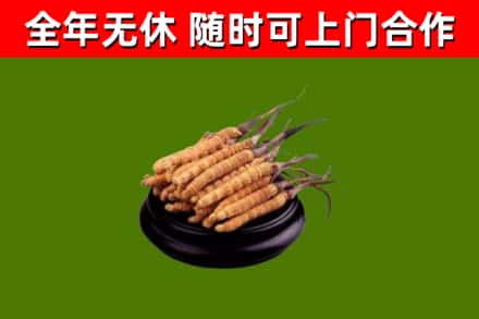 溧水区烟酒回收冬虫夏草.jpg