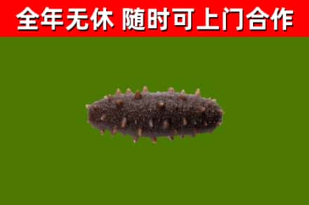溧水区烟酒回收干海参.jpg